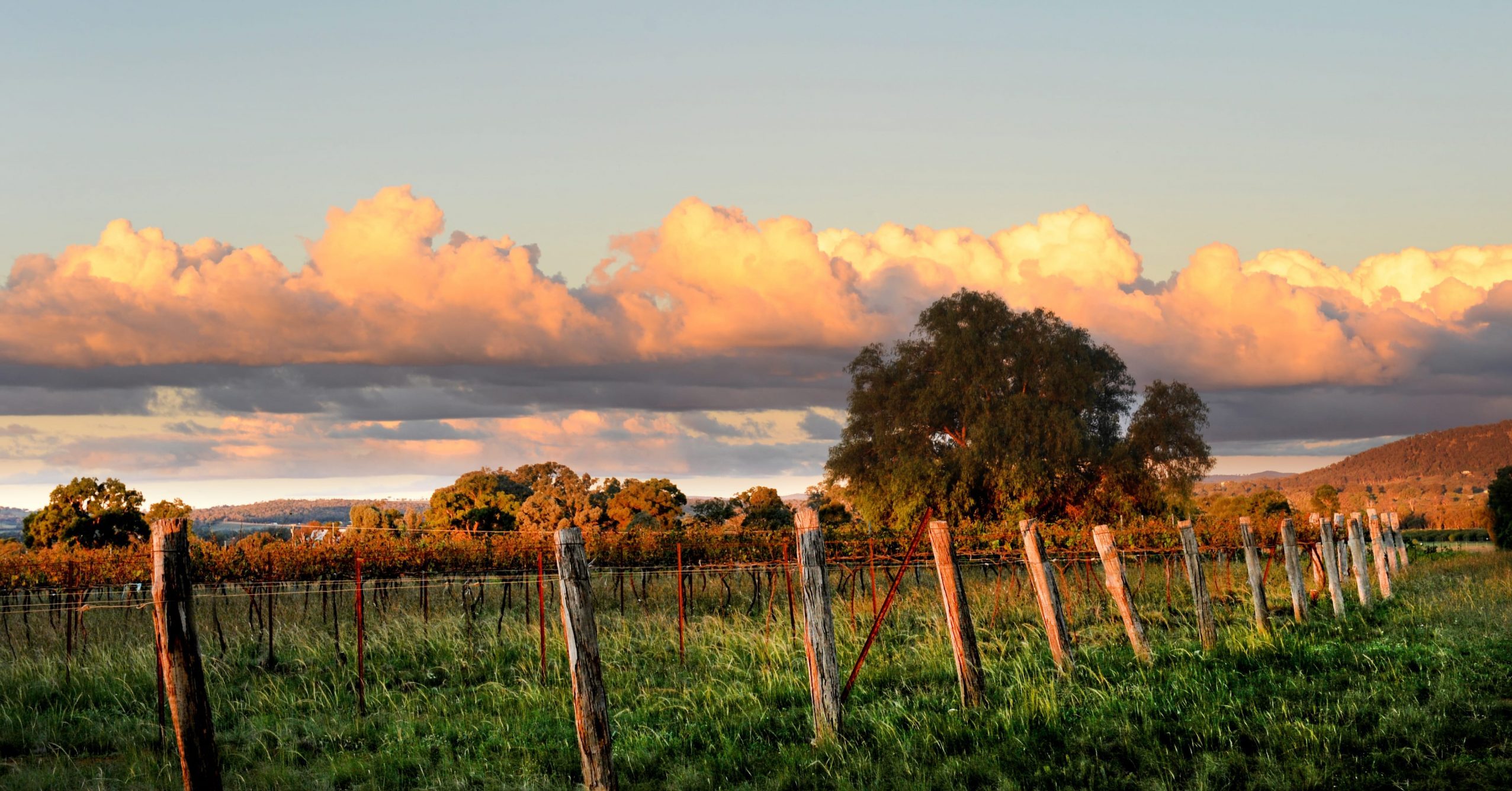 Partnership Opportunities