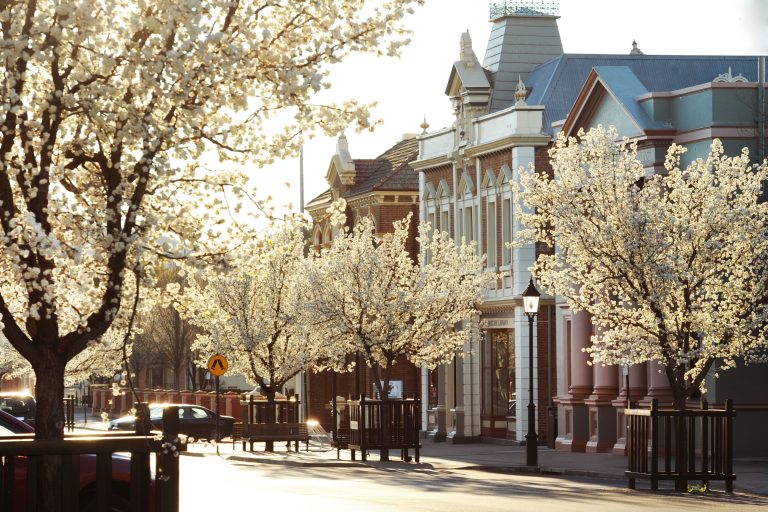About Us - Mudgee Region