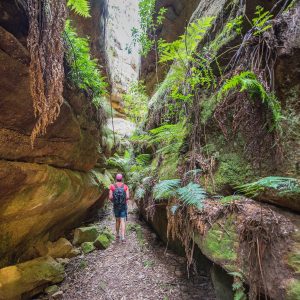 Ferntree Gully - Mudgee, NSW