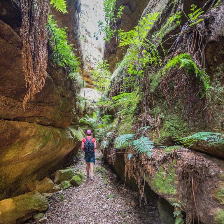 Ferntree Gully