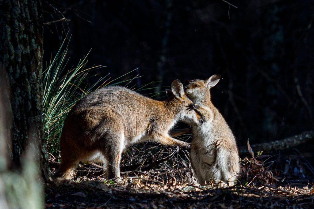 Picture Yourself Here