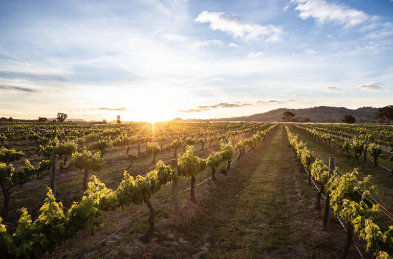 Cellar Doors, Breweries + Distilleries in Mudgee Region