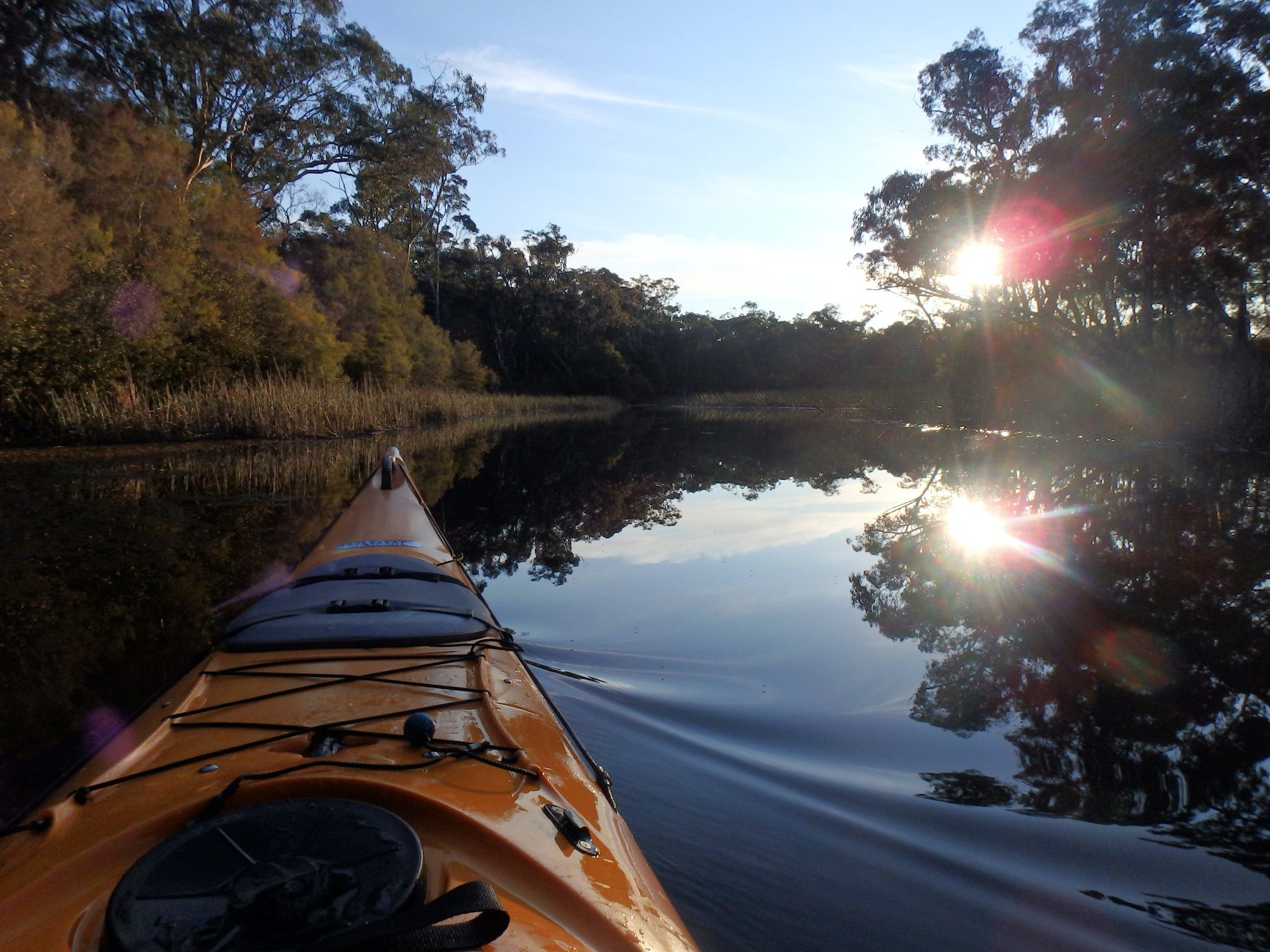 Southern Cross Kayaking GanguddyDunns Swamp Mudgee Region