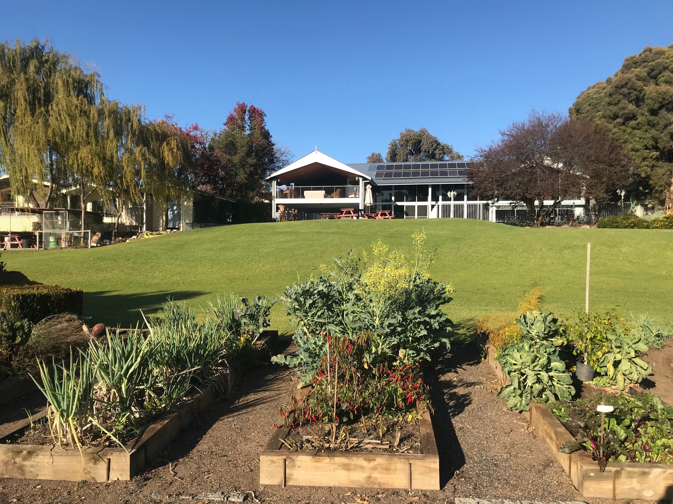 Mudgees Getaway Cottages Mudgee Region