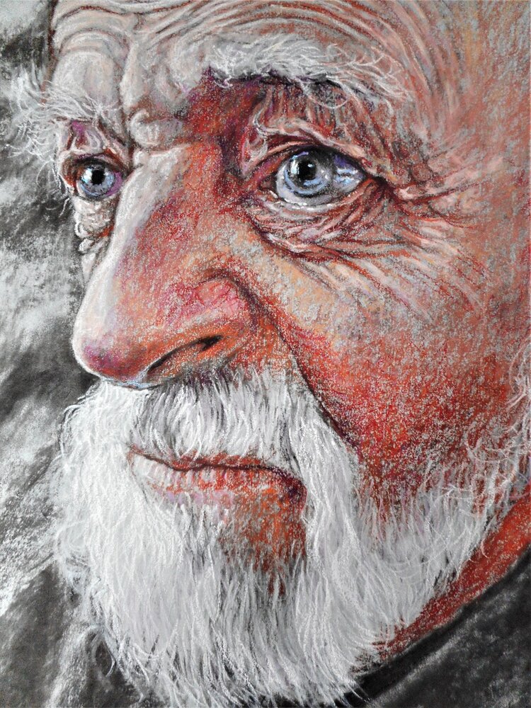 Portraits in Pastel - David Newman White