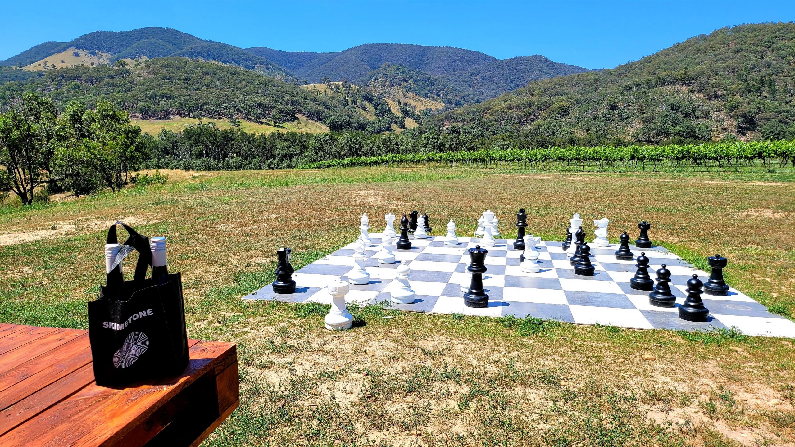 Paint and Sip Mudgee