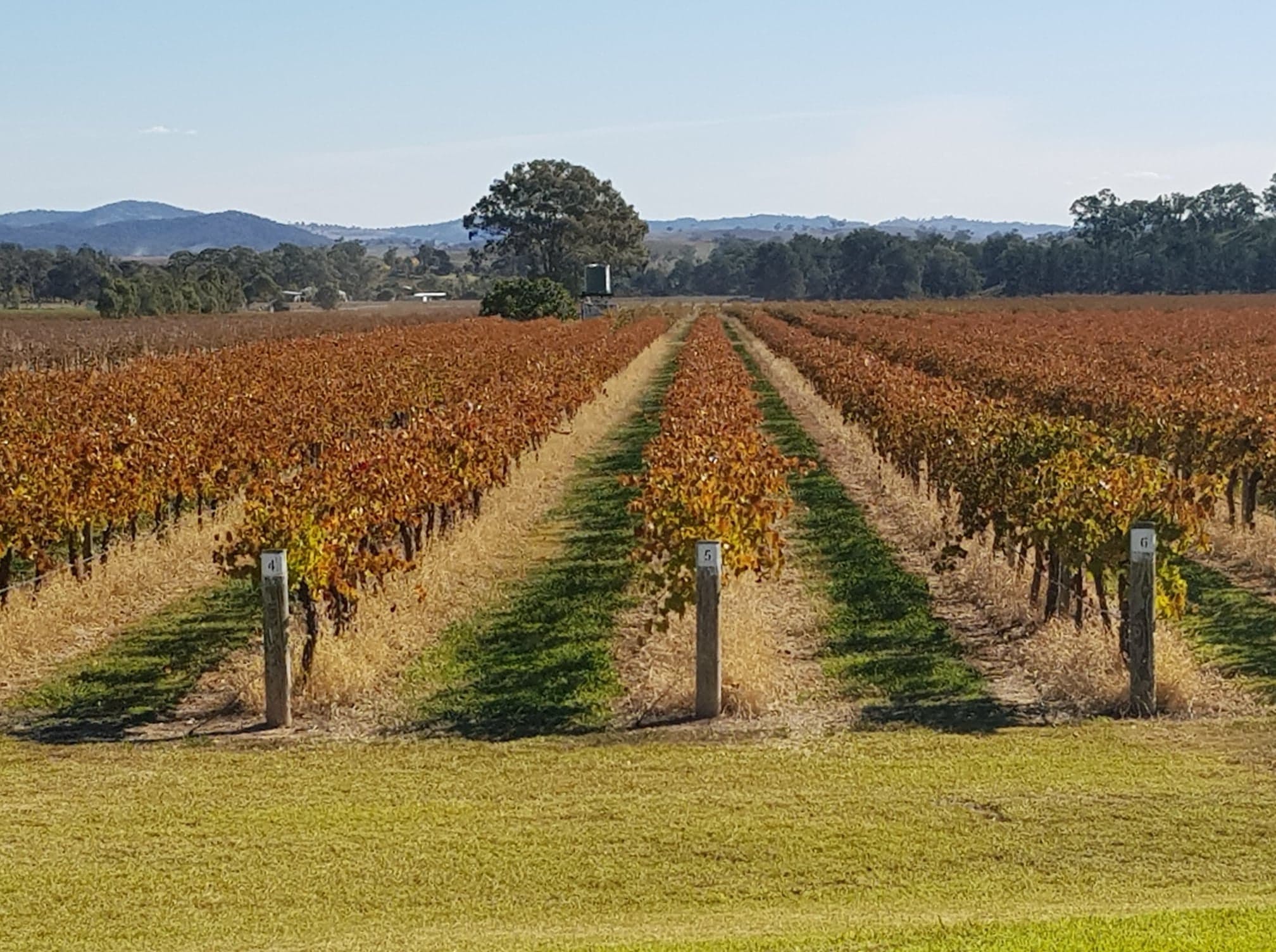 Petersons of Mudgee Mudgee Region