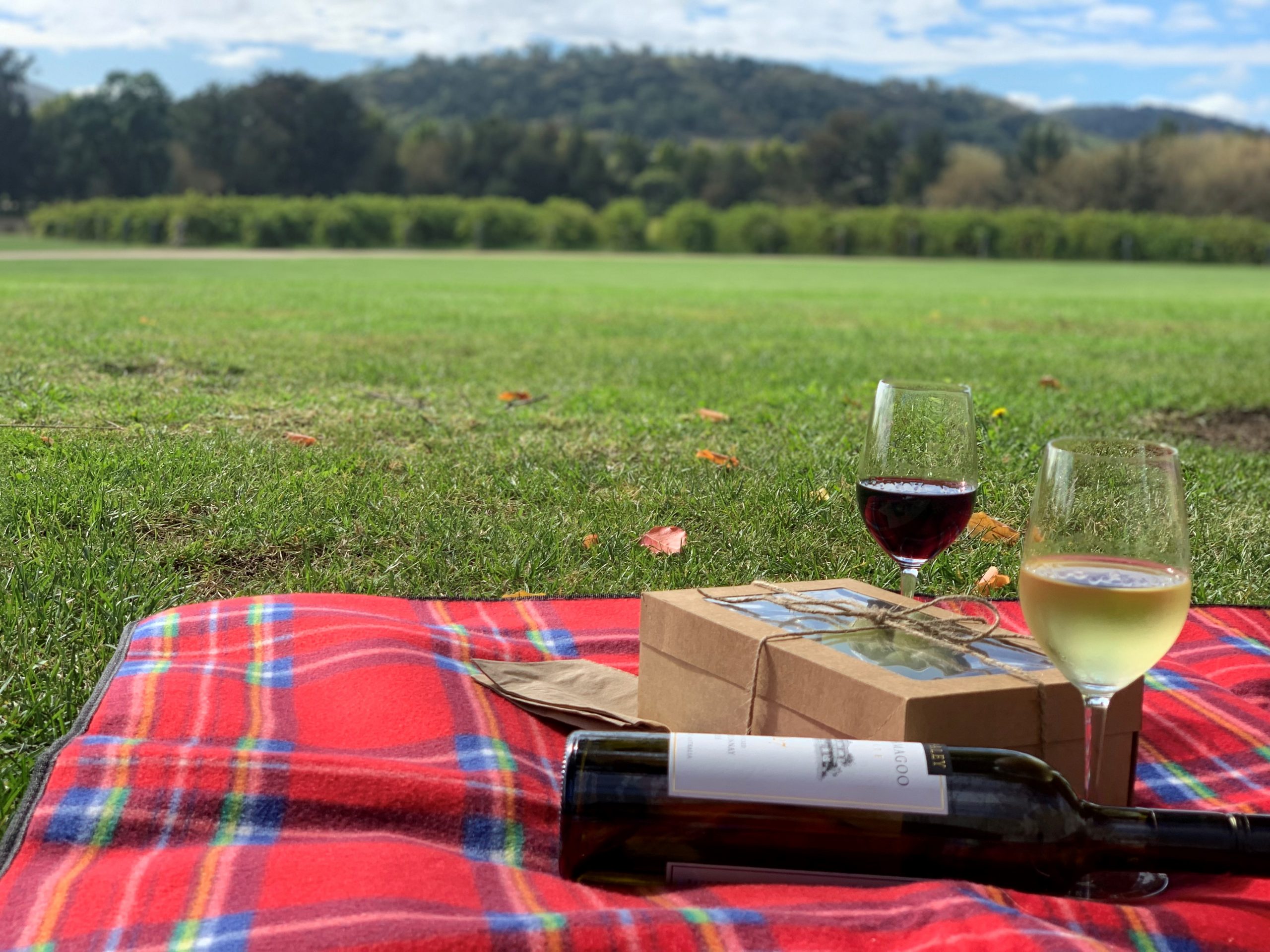 Bunnamagoo Australia Day Picnic Mudgee Region