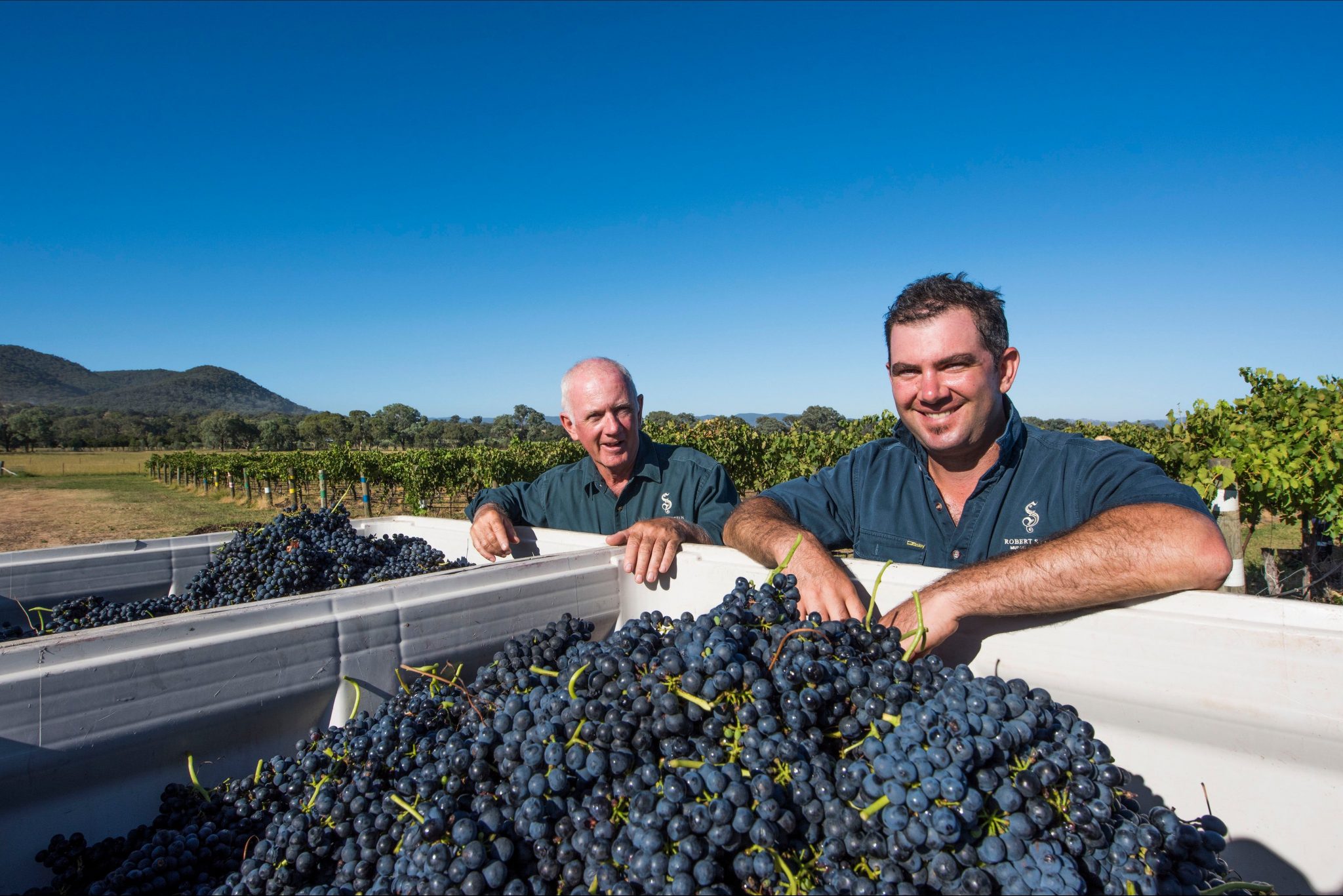 Robert Stein Winery, Vineyard & Farm